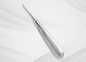 root-elevators-283067-1767766793